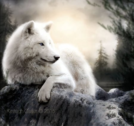 Left Behind - fantasy, animal, art, wolf