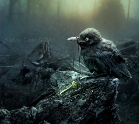 Little Thief - thief, art, fantasy, bird