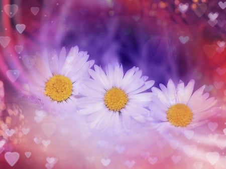 Flowers - flowers, beauty, nature, soft