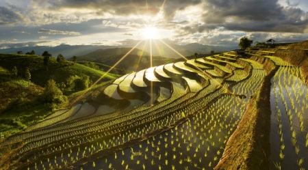 Chiang Mai - vhiang mai, thailand, terrace, beautiful, green