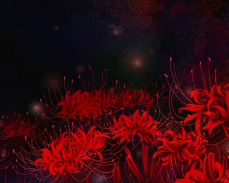 Red Flowers - flowers, red, dark, bloom