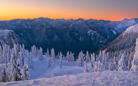 Wonderful Winter - mountains, winter, trees, sunset