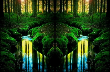 Forest Collage - nature, collage, forest, trees