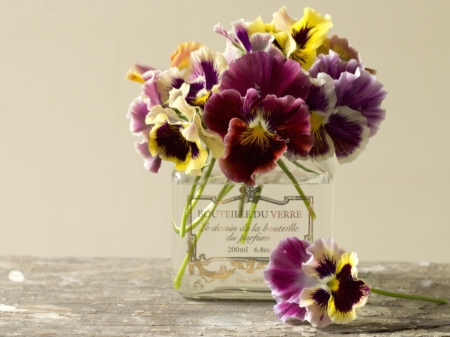 lovely pansies - flowers, lovely, vase, still life, pansies