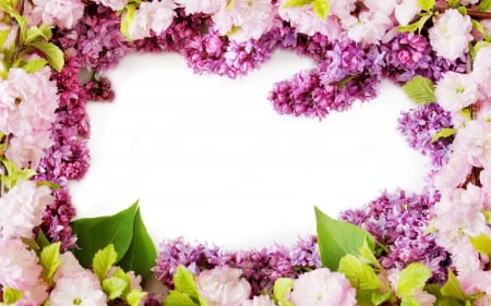 Spring flowers frame - day, mother, valentine, spring, white, purple, pink, blossom, green, card, lilac