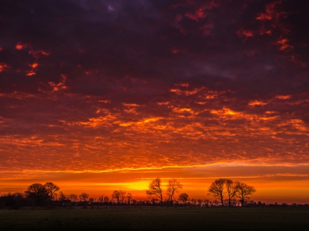 Sunset - sky, landscape, clouds, trees, sunset