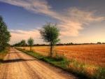 country road