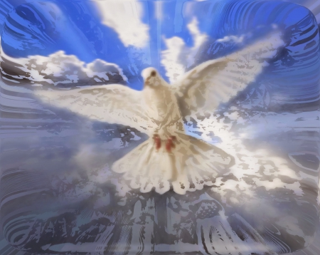 ON THE WINGS OF A WHITE DOVE - GORGEOUS, PEACE, DOVE, SIGN, BIRD