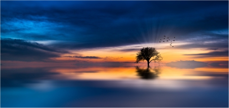 Divine - clouds, trees, birds, ethereal, water, yellow, blue, beautiful, sunbeams, dreams, sunset, sky