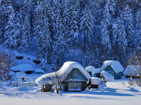 Winter Forest - forest, trees, snow, wooden, winter, house