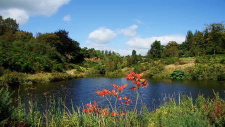 Lovely view at the lake - 1600x900, trees, background, water