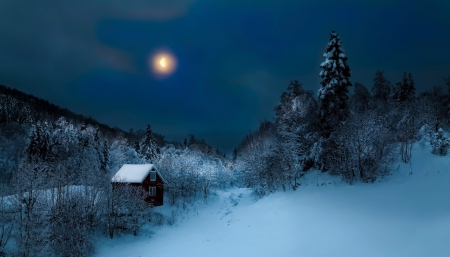 Winter - moon, sky, landscape, trees, winter, mountains, nature, winter time, snow, snowy