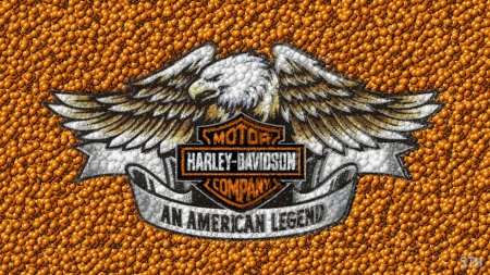 Harley Eagle Balls - harley davidson eagle, harley davidson, harley davidson motorcycles, harley davidson wallpaper, harley davidson desktop background