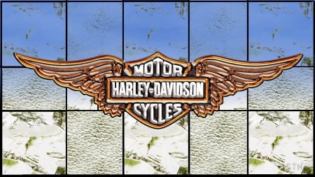 Harley wings Glass effect - harley davidson wallpaper, harley davidson wings, harley davidson motorcycles, harley davidson glass, harley davidson