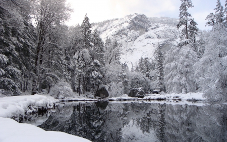 winter reflection - winter, snow, lake, mountain, tree