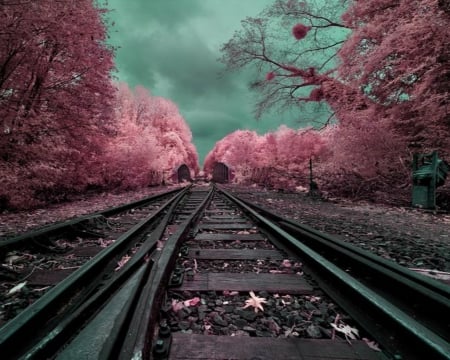 Railway - path, railway, landscape, trees