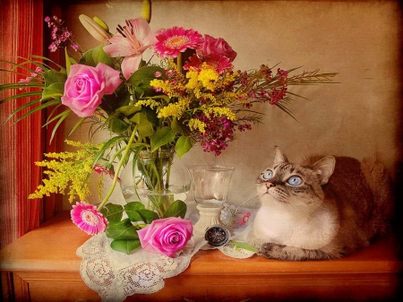 Still life - cat, fragrance, roses, bouquet, still life, lovely, vase, pretty, leaves, scent, flowers, harmony