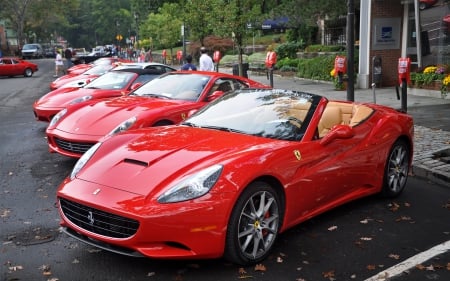 Red Ferrari Roads Series - photo, red, car, ferrari