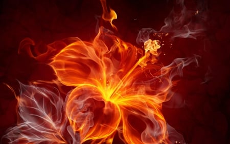 Rose On Fire Abstract - abstract, fantasy, fire, rose