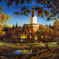 Country Church