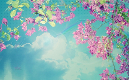 Sky and Flowers - sky, abstract, 3d and cg, clouds, flowers