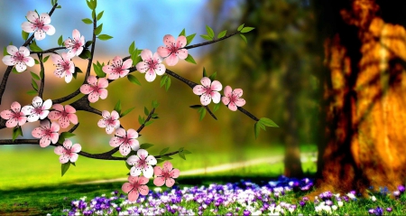 Spring will come soon - flowers, blossoms, trees, artwork