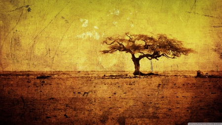 lonely tree - barren, land, tree, desert