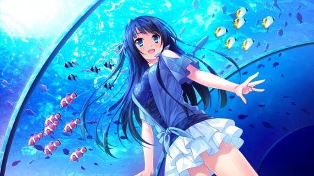 Manazuru Misaki - pretty, anime, kawaii, female, blue, dress, happy, fisg, blue hair, nice, anime girl, skirt, water, beautiful, girl, aquarium, beauty, lovely, sweet, shirt, blouse, longhair, cute, adorable