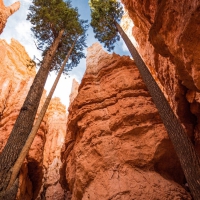 bryce canyon national park