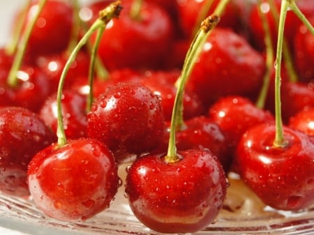 Cherry - plate, red, cherry, photography, fruits