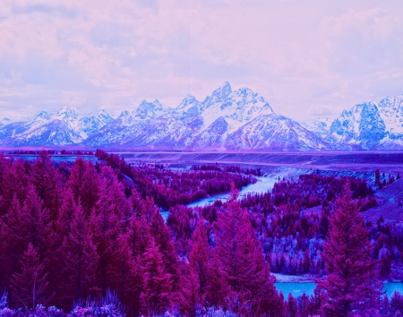 Snake River, Grand Tetons - mountains, purple, landscape, trees