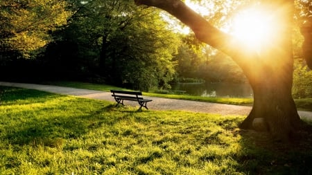 Bench - bombata, bench, sunset, nature