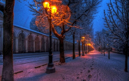 Winter Alley - trees, lanterns, evening, snow, light, building