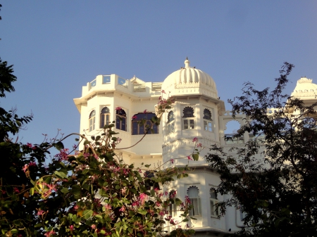 White - white, tree, castle, building