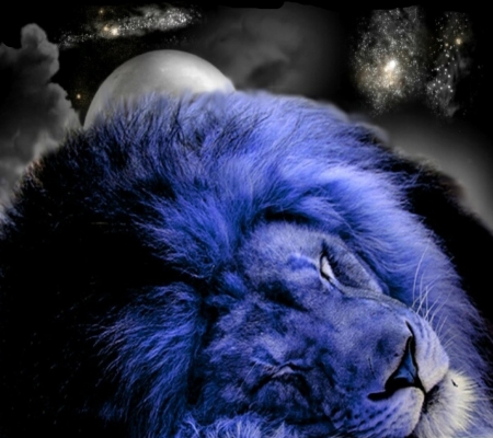 Sleeping Lion - lion, blue, clouds, light, king