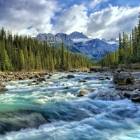Swiss national park