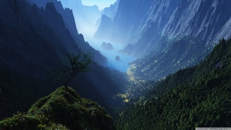 deep valley - deep, valley, mountain, tree