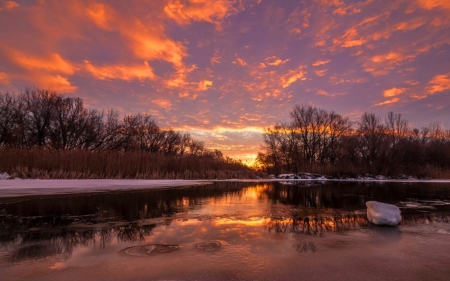 Nature - nature, sky, sunset, trees