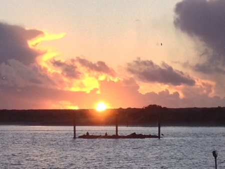 Sunset in the harbor - scenic, sunset, ocean, skies, nature