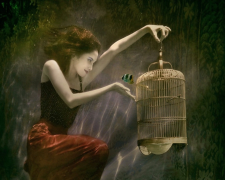 Be Free - cage, art, fish, woman