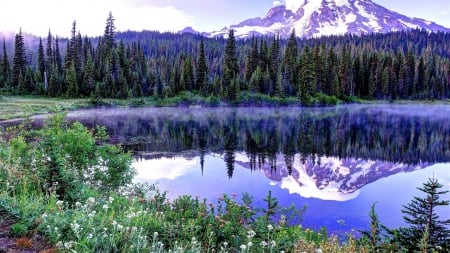 Nature - trees, nature, blue, lake, reflection, mountain