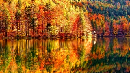 Autumn Lake - house, trees, autumn, lake, forest