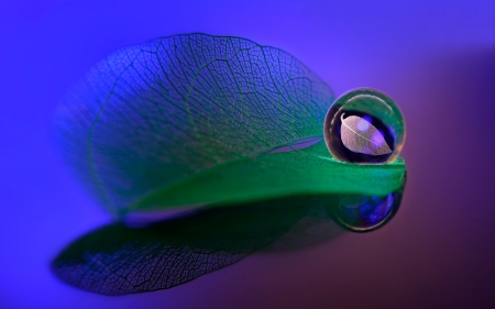 Water drop - purple, water drop, macro, blue, green, leaf