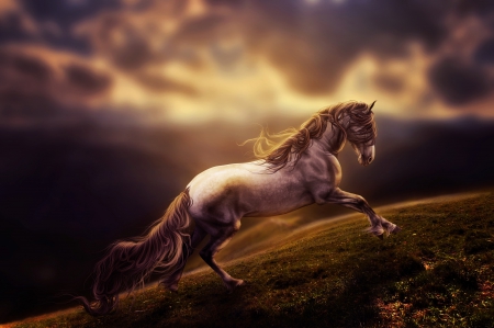 Horse in Storm - clouds, landscape, galopping, artwork