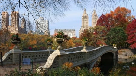 Bridge in Central Park - New York City, nice workmanship, cool, picturesque