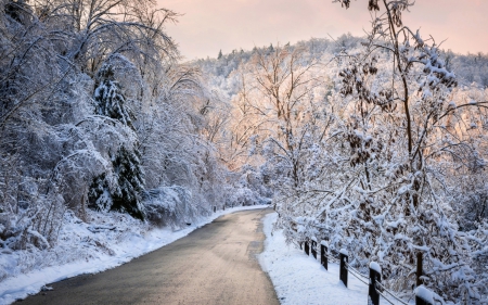 Winter Road - mountains, winter, road, trees, nature, snow