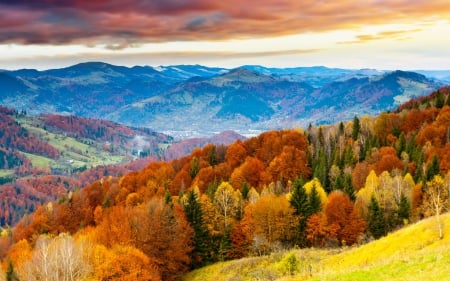 Autumn - colorful trees - colorful, mountains, autumn, trees