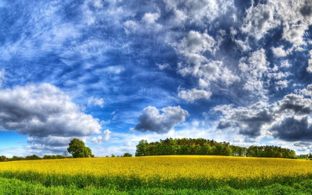 cloudy field - cool, clouds, field, fun, nature