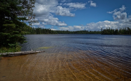 lake - lake, forest, cool, fun, nature