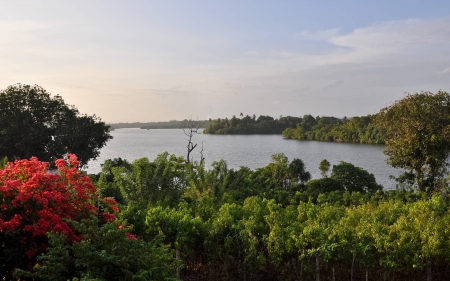 lake - lake, forest, cool, fun, nature